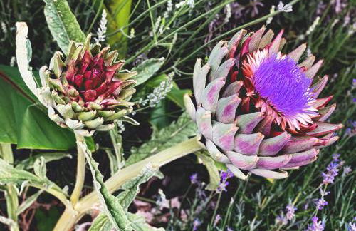 Maison Hirondelles Gîtes - Foto 35