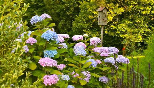 Landhaus Binder - Photo 5