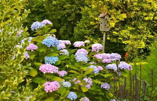 Landhaus Binder - Foto 5