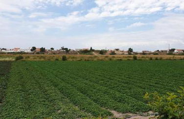 Comporta House - Foto 44