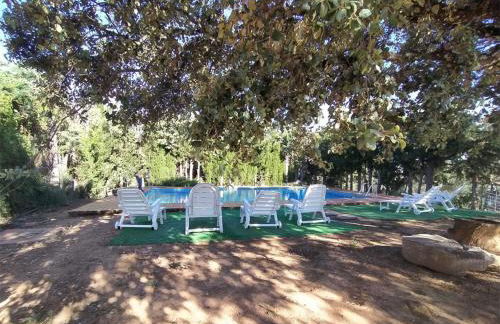 Pozuelo 1 JABUGO - Foto 18