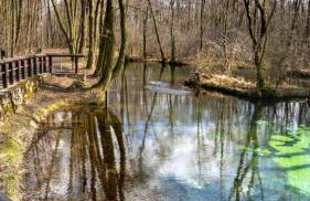 EUROPA22 Apartament z JACUZZI w samym sercu miasta Tomaszów Maz - balkon z widokiem na park i fontanny Szybkie zameldowanie od 13 - Foto 33