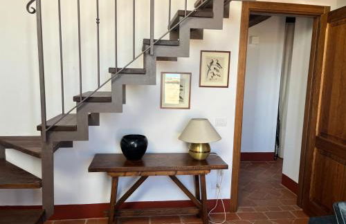 Podere Cedrola - Foto 70