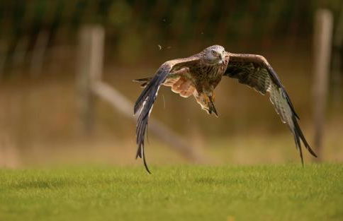 West Cottage - Foto 60