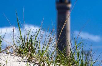 Platan Home - Foto 20