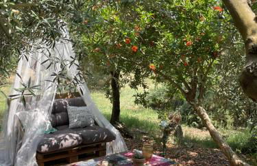 Chalet Mimosa - Foto 22