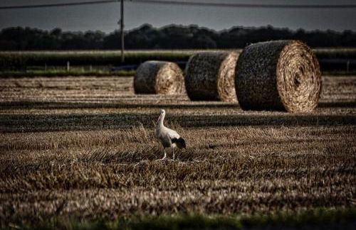 Ferienwohnung Wussegel - Foto 31