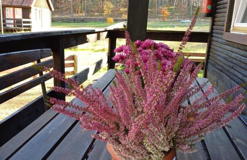 Domek u Bartnika z basenem na Mazurach - Foto 40