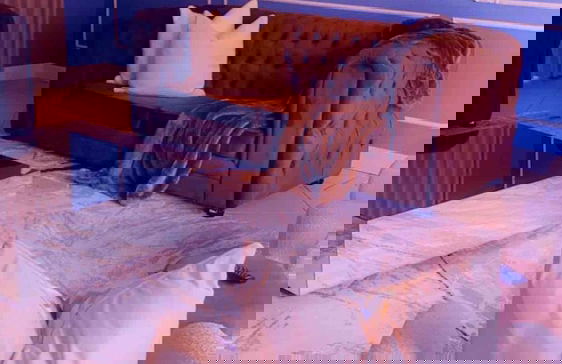 Or Tambo Airport Holiday Home - Photo 22