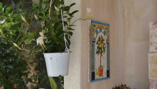 Villa sul mare - Foto 5