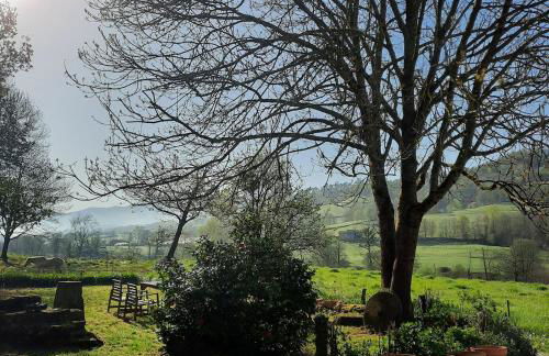 La Casina del Pintor - Foto 19