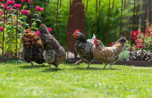 Stockser Hof - Photo 36