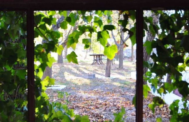 Finca La vega - Foto 73