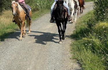 I Castagnini - Foto 30