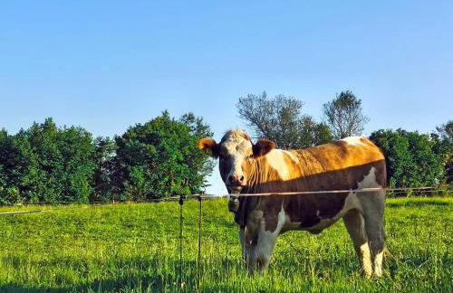 Allgäu Casa - Foto 9