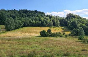 Duży drewniany domek nad rzeką, Obidza 381, Łącko - Foto 43