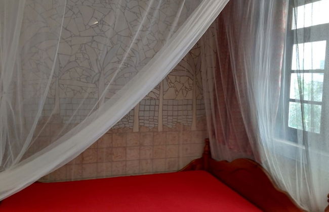 Termas da Azenha - Foto 16