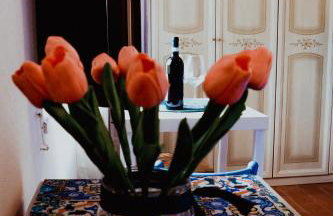 "IL CASALE DEI GIRASOLI" Country House in Capalbio - Foto 24