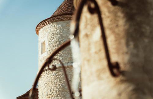 Château LA ROBERTERIE logement entier proche Saint Emilion - Foto 8