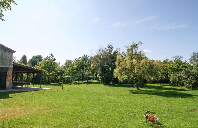 Ferienhaus im Mueritz-nationalpark - Photo 14