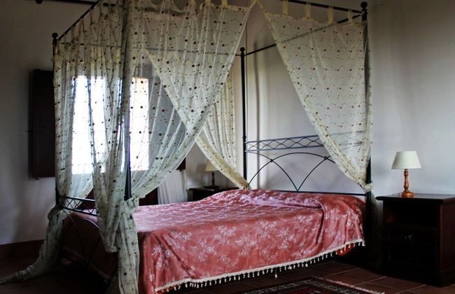 Agriturismo Sanacore - Foto 10