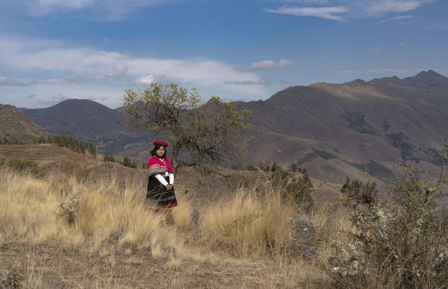 Andean Glamping - Foto 39