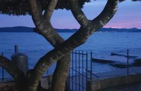 Apartman Andrija - Photo 10