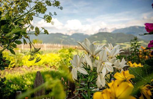 Oberhauser Hof - Apartments - Foto 23