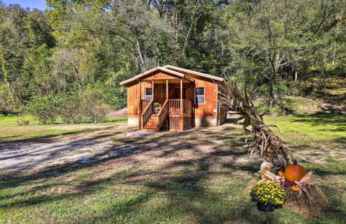 Silver Creek Cabin with Hiking Less Than 1 Mi to Town! - Foto 21