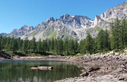 Il Giardino Segreto - Foto 36