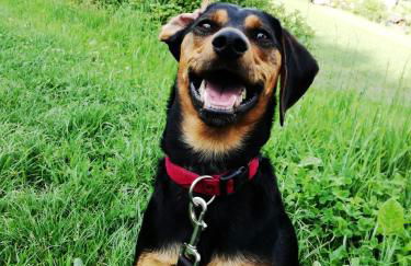 B&B Brunnerhof - Foto 24