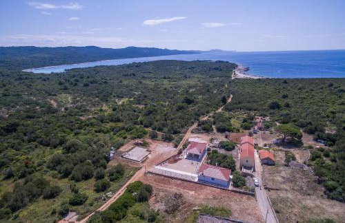 Sakarun - Ena - Photo 16