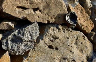 Tiny House Vogelnest - Foto 28