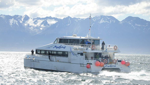 Navegando pelas águas do Canal Beagle