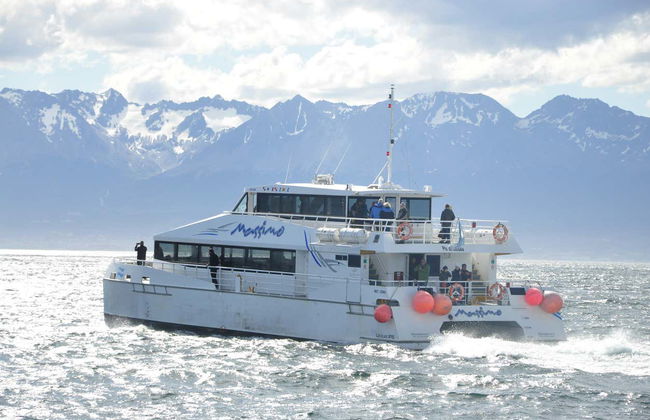 Pingüinera de isla Martillo + Paseo en barco por el canal Beagle - Foto 6