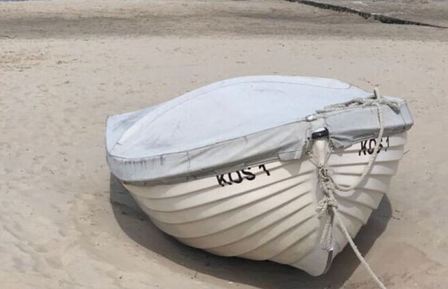 Wood in Zempin/usedom - Foto 15