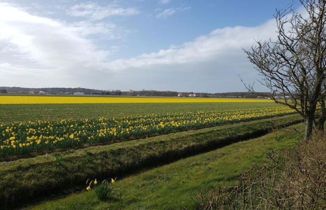Cozy Holiday Home in Noordwijkerhout near Lake - Foto 27