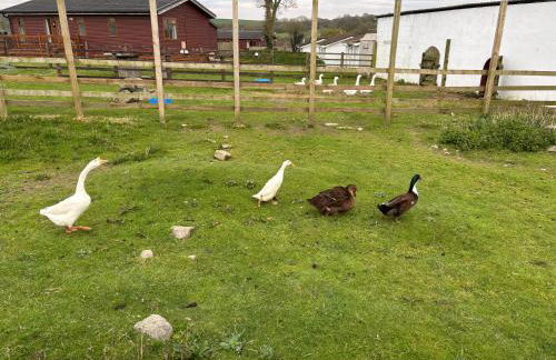 Two bedroom Holiday Home with countryside view - Foto 27