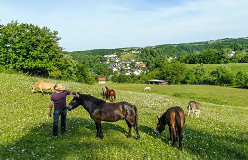 Nengshof Ferienhaus Gänseblümchen - Foto 36