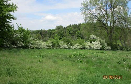 Wonderful Picturesque Countryside Cottage - Foto 6