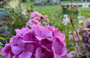 Le petit paradis - Foto 25