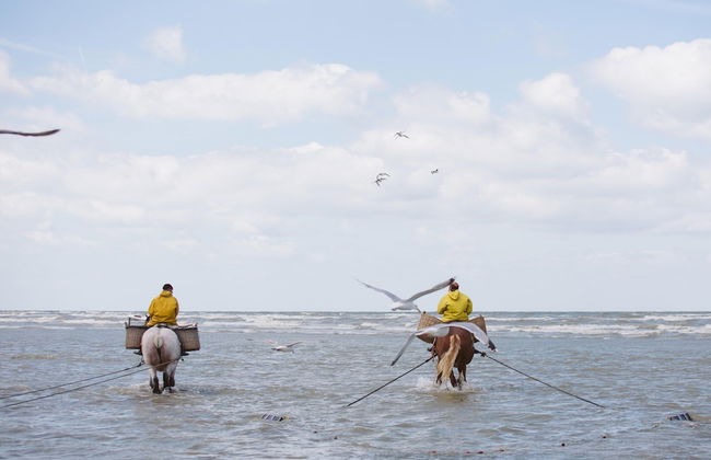 Quiet Getaway w/ Terrace - Foto 25