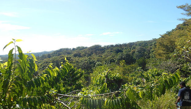 Domaine de Florette - Photo 2