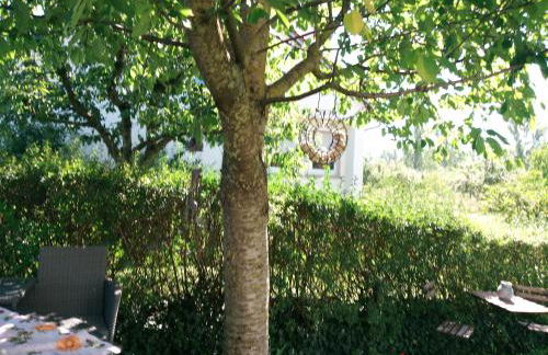 Ferienwohnung Schwalbennest - Foto 40