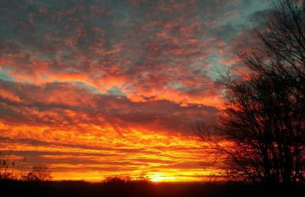 Ferienwohnung Rügen-Freiheit - Foto 23