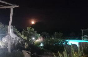 Cuccuru Relax - B IUN Q9882 - Foto 71