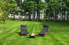 Barn on the Wolds, Yorkshire - Foto 25