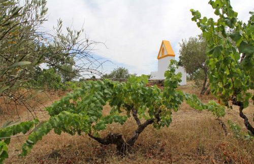 Cabeças do Reguengo - Foto 121