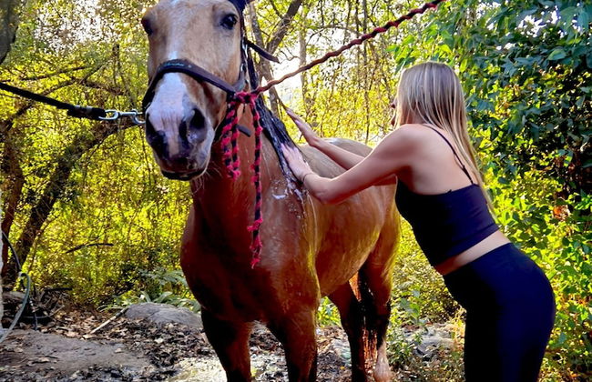 Rancho con Caballos El Reencuentro - Foto 45