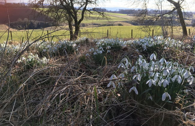 Beautiful 8-bed House in Angus - Foto 12